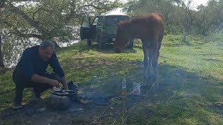 Hacıqabul, Kür qırağı piknik #vlog