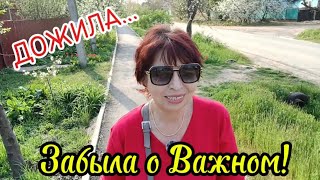 Дожила!Забыла о Важном Событии в Жизни!Посадили перец и баклажаны