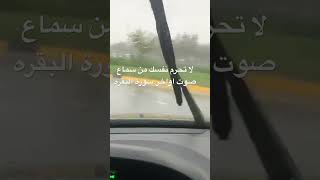 لا تحرم نفسك من سماع صوت اواخر سورة البقره