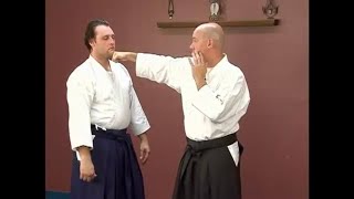 Aikido Jodan Tsuki Tips