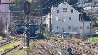 Izu no Odoriko train