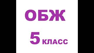 § 7.2 Двигательная активность и закаливание организма