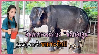 อัพเดทอาการ “พังทองอุ่น” (สงสัย)ติดเชื้อ "บาดทะยัก“ EP.2 | หมอโบว์ หมอตัวเล็กกับคนไข้ตัวใหญ่