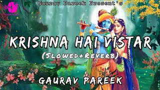 Krishna Hai Vistar | Slowed Reverb Song | Lofi Song | Radha Krishna Title Song | RadhaKrishn Bhajan