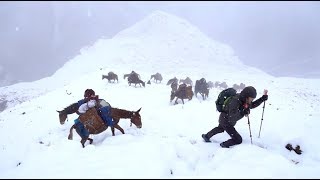 The Snowman Trek - Official Trailer