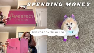 Food Delivery | Black Friday Shopping | Dog Grooming