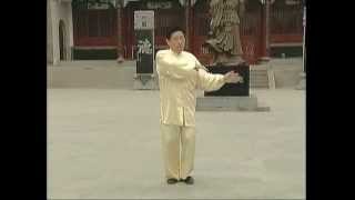 Chen Xiao Wang Complete Chen Taijiquan Collection 33DVDs - Serie 11: Chen style Appreciation