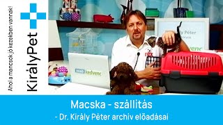 Macska - szállitás