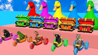 Long Slide Game With Elephant Cow Lion Gorilla 3d Animal Game Funny 3d Animals Cage Game