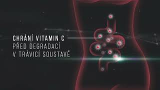 Lipozomální vitamin C - LifeCode developed by Dr. Max