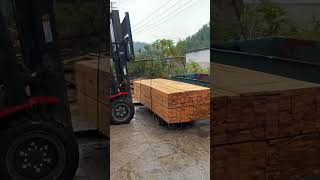 Soaked wood ready for shipment