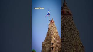 "રાજાધિરાજ: The Divine Essence of Dwarkadhish"