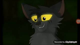 Rusty joining thunderclan (Owner in description))