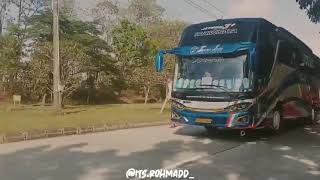 cinematik bus trans jaya ARETA