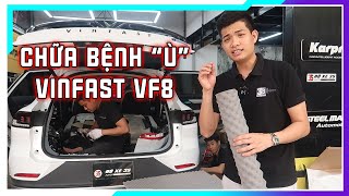 Tại sao Vinfast VF8 có tiếng ồn khó chịu? Và đây là cách chữa bệnh "Ù" cho nó.