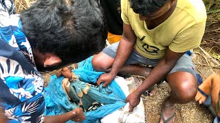 කොල්ලෝ සෙට් එක්ක අල්ලපු මාළු 😳Wow!!! Sri Lanaka 🇱🇰 fishing video😱😨