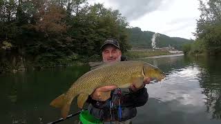 Pesca a bolognese tutti Barbi quasi Cavedani