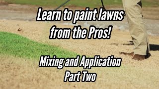 How To Apply Paint On Your Lawn | Expert Tips and Tricks for The Perfect Result Tutorial Part 2