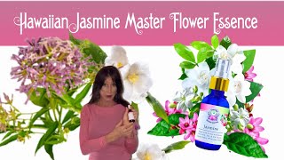 Hawaiian Jasmine Master 🌸 Essence from Shanti Kai