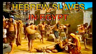 Hebrew Slaves In Egypt | The Ten Commandments Hindi 4K ✨