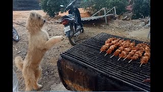 How To Make Beef Burnt Ends / Beef Fried Rice Street Food / Cook Beef Steak