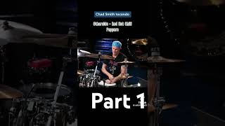 Chad Smith Otherside