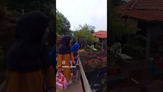 Tempat wisata Termurah di Bogor...