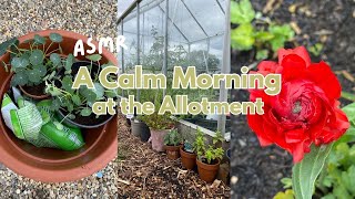 A Calm Morning at the Allotment | ASMR | Peaceful