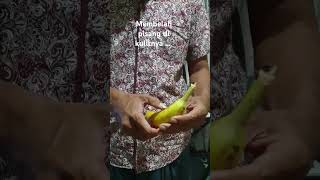 sulap membelah pisang #sulap #video