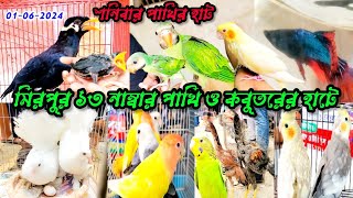 01-06-2024, শনিবার পাখি ও কবুতরের হাট | mirpur 13 pakhir hat | tota pakhi | moyna pakhi, tia pakhi