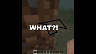 Weird Minecraft glitch – Hole? Really??? | Divná chyba v Minecraftu – Díra? Vážně???