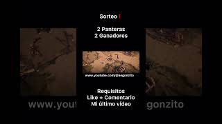 🤑Sorteo🤑 (2 Panteras) Albion Online #albiononline #albion