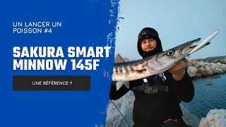 Un lancer un poisson (4) - Smart minnow 145F vs Barracuda