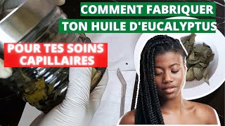 Voici comment faire ta macération à froid d'huile d'eucalyptus pour tes soins capillaires.