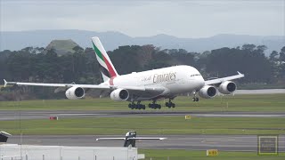 Live morning stream from Auckland International Airport