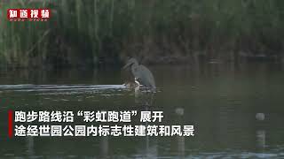 视频丨蓝天碧水白鹭纷飞，北京国际铁人三项挑战赛将在这里举办