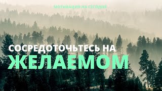 Фокусируй внимание не на проблеме, а на решении | Мотивация на сегодня