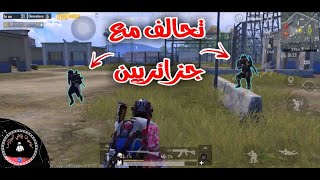 تحالف مع جزائريين 🇩🇿 | PUBG MOBILE