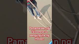 Pamamaraan ng Taiwanese sa pangunguha ng Halaan #hectortvvlogs #shorts