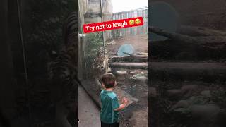 😳🤣 Tiger SPRAYS My Son at Zoo [Reaction video] / 7M TikTok #shorts #tigers #zoo #youtubeshorts