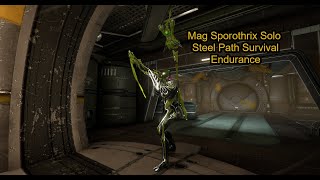 100hr Solo Mag & Sporothrix Augment Steel Path Ani Survival