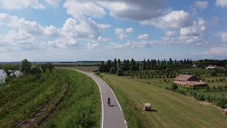 San Basilio a caccia di Girasoli nel delta del po