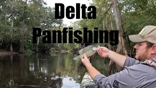 Bream And Crappie Fishing In The Delta