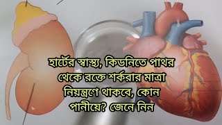 হার্টের স্বাস্থ্য,কিডনিতে পাথর থেকে শর্করার মাত্রাও বশে থাকবে কোন পানীয়ে?জেনে নিন||Benefits drink