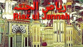 Riaz ul Jannah | ریاض الجنتہ |Madina|Ayub Vlogs