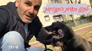 תיקון בעיות התנהגות