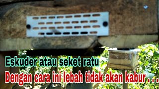 CARA MENGATASI LEBAH MADU TIDAK GAMPANG KABUR DARI KOTAK BUDIDAYA