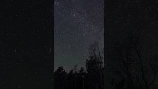 Звëздное небо на Куршской косе. Высота Эфа. StarLapse. #природа #звезды #star #starlapse