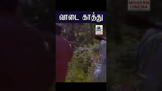 Vaadi Kaththu வாடி காத்து | Chithra