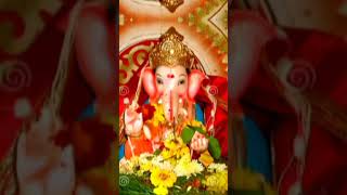 🌼🌼Ganesha🌼🌼